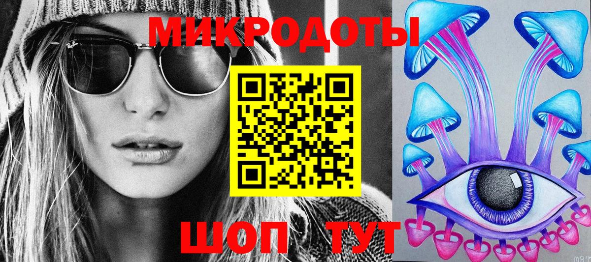 Галлюциногенные грибы Psilocybe Свободный