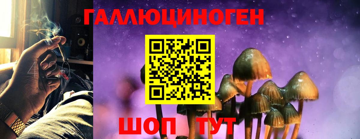 Свободный  Галлюциногенные грибы Psilocybine cubensis  Вход с VPN  Псилоцибиновые грибы ЛСД 